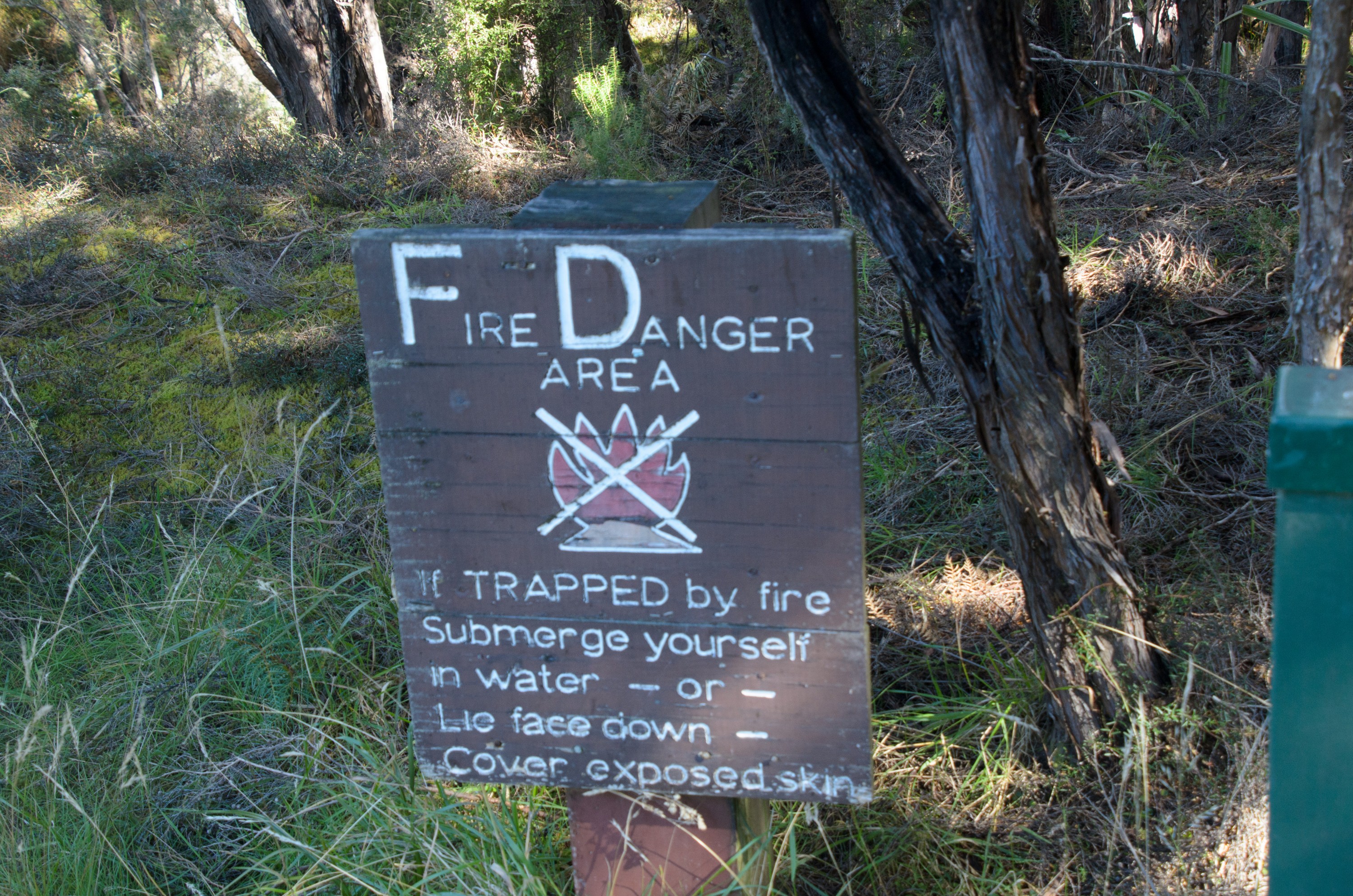DSC_2160 – Adventure, Crispin, Freshwater, Freshwater Hut, Hut, Island, March 2017, Mason, Mason Bay, National Park, New, New Zealand, Rakiura, South, Stewart, Zealand